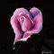a-heart-shaped-rose by Bamboo