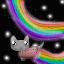 nyan-cat nyan-cat