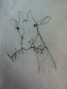 giraffe