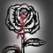 bleeding-rose by abigail1