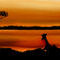 african-plain by HajarMathers