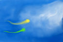 sky-gliders-fantasy-dr