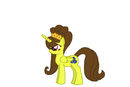 nayru-pony nayru-pony