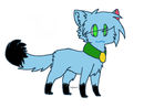 puddle-or-jayfur
