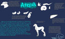 atepa-secies-referance