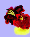 untitled-2