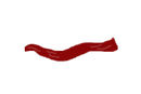 bacon