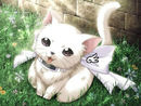 angel-kitty