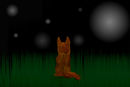 cat-in-the-grass