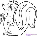 skunk-to-cat
