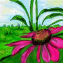 summer-flower