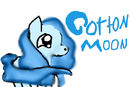 cotton-moon