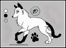 sya-the-wolf-cat-hybri