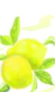 lemons