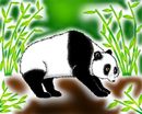 panda-in-the-wild