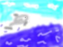 dolphin