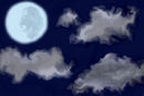 moonlight