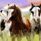 horses by sk8terprep