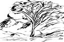 just-tree