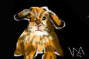 rabbit