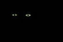 alone-in-the-dark