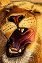 yawn