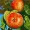 a-is-for-apple by betty