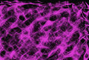 untitled-2