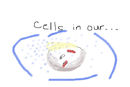 cell-1 cell-1