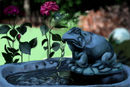 the-frog-fountain