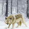 winter-wolf by kutedymples