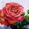 my-crazy-colored-rose by kutedymples