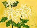 chrysanthemum-a-la-chi