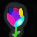 beautiful-flower beautiful-flower
