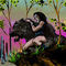 wild-kingdom by drobert486