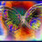double-butterfly by katy
