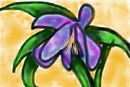 flower flower