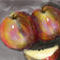apples by sketchpad