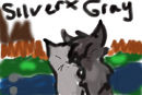 silverstream-and-grays