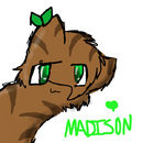 happy-bithday-madison
