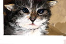 kittyof--the-second-fl