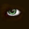 eye by debbiehemlock