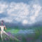 lavender-field by sketchpad