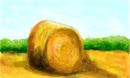a-huge-sheaf