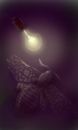 moth