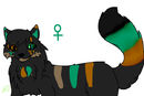 adoptable-customizable adoptable-customizable