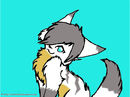 snowfeather snowfeather