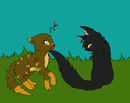 amberheartxnightpelt amberheartxnightpelt