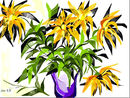yellow-flowers yellow-flowers