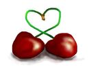 cherry-love cherry-love